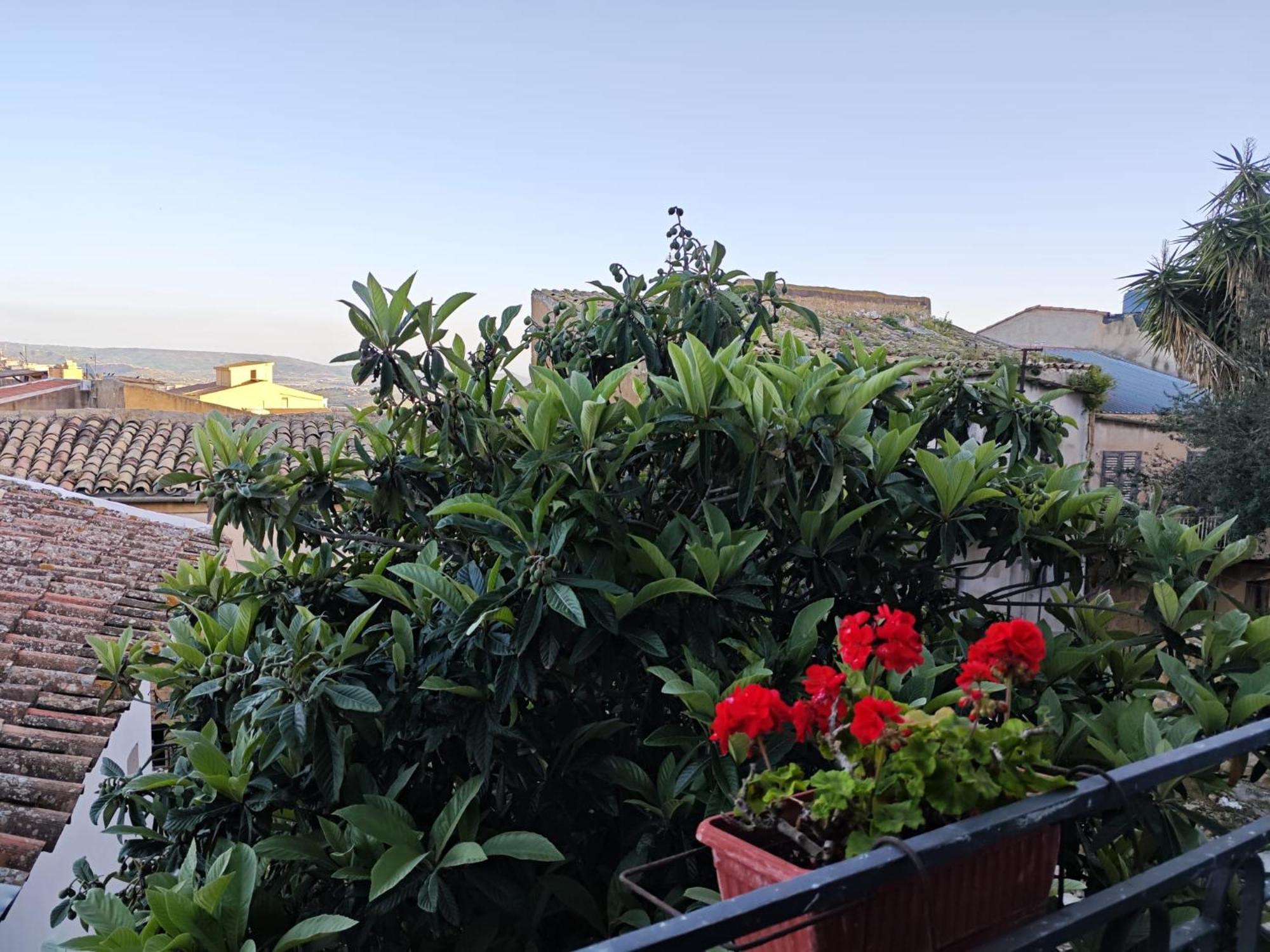 Villa Amoroso - Ospitalita Mediterranea Agrigento Eksteriør billede
